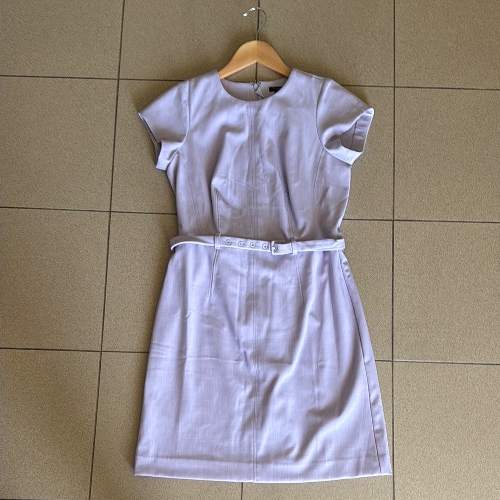 Ann Taylor Light Lavender Dress